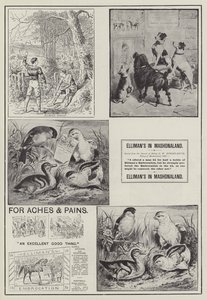 Publicité, Elliman